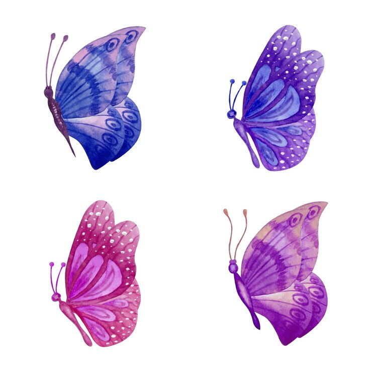 Handgeschilderde aquarel mooie vlinders set