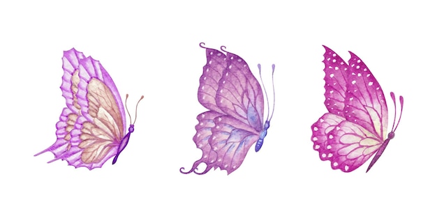Handgeschilderde aquarel vlinder set collectie