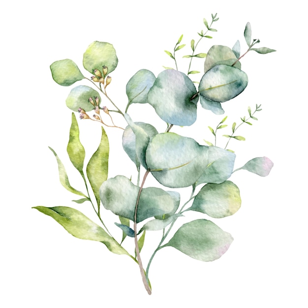 Handgeschilderde Eucalyptus en groen aquarel boeket voor huwelijksuitnodigingen, wenskaarten