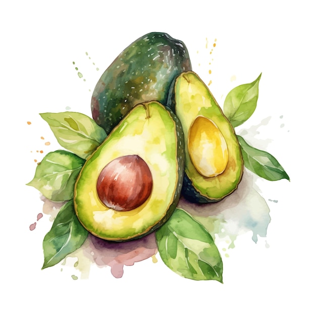 Handgetekende aquarel Avocado fruit met blad clipart