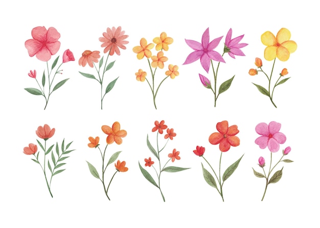 Handgetekende aquarel bloem en bladeren Art Set