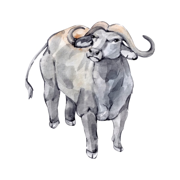 Vector handgetekende aquarel buffel