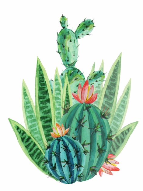 Handgetekende aquarel groene cactussen