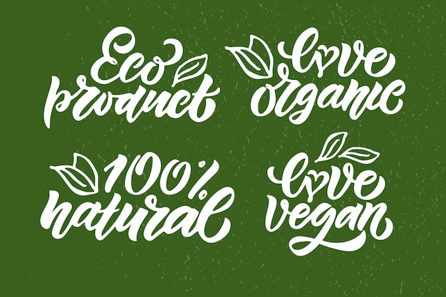 Vector handgetekende badges en labels met vegetarische veganistische rauwe eco bio natuurlijke verse gluten en ggo