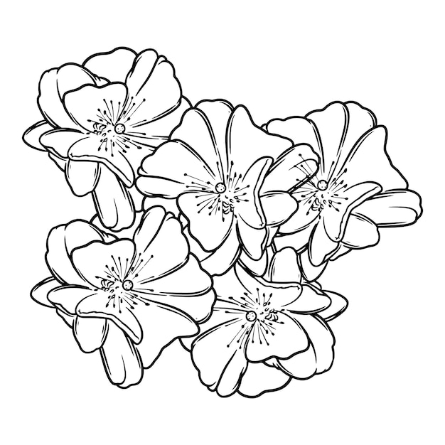 Handgetekende bloem botanische tekening van sakura geïsoleerd op witte achtergrond