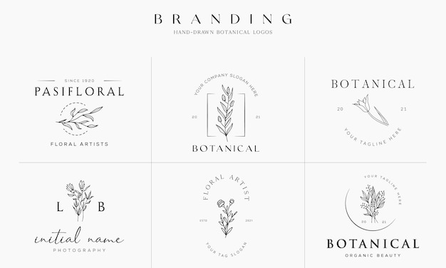 Handgetekende bloemen botanische logo illustratie collectie voor schoonheid natuurlijke organische Premium Vector