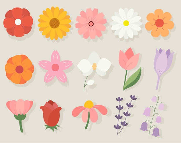 Handgetekende bloemen illustratie collectie