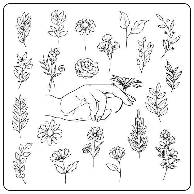 handgetekende bloemencollectie. vector illustratie
