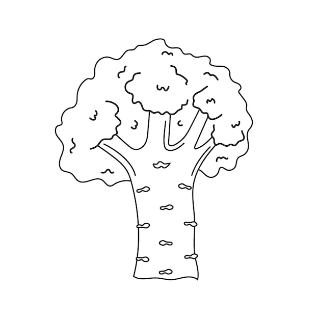 Handgetekende broccoli. verse groente, biologisch voedsel. vectorillustratie in doodle-stijl