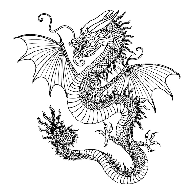Vector handgetekende chinese dragon line art illustratie