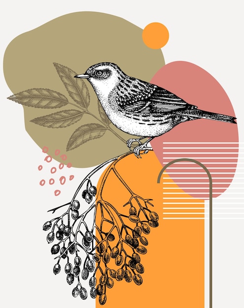 Handgetekende Dunnock vectorillustratie in gegraveerde stijl