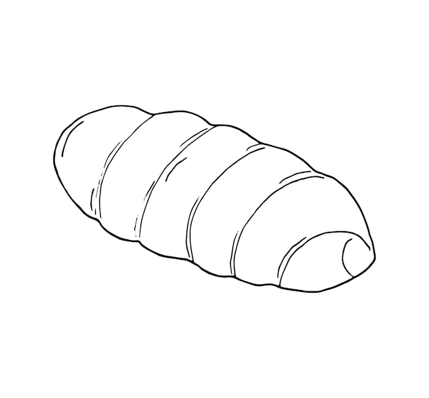 Handgetekende eenvoudige opgerolde broodje geïsoleerde vectorillustratie op wit