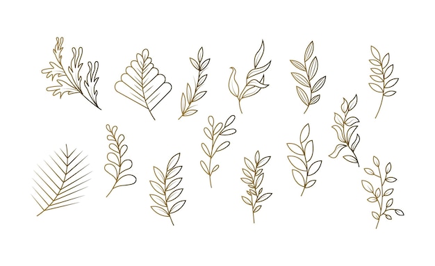 Handgetekende Floral Leaf Decorative Doodle Collection