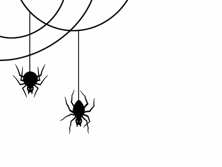 Vector handgetekende halloween-spinnenwebben illustratie