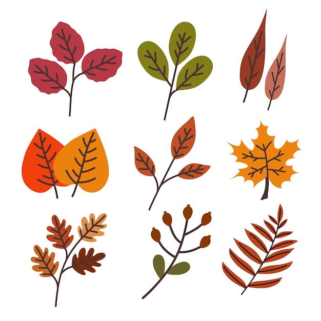 Handgetekende herfstbladeren set Herfst en danksegging decoratie