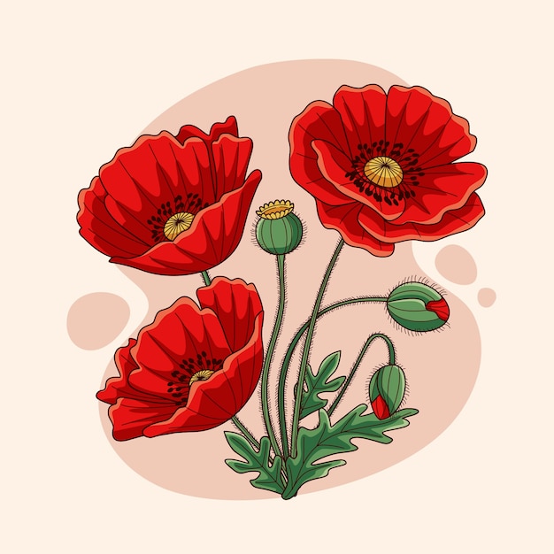 Vector handgetekende illustratie van een papaverbloem