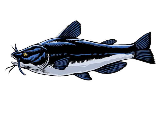 Handgetekende illustratie van een walvis
