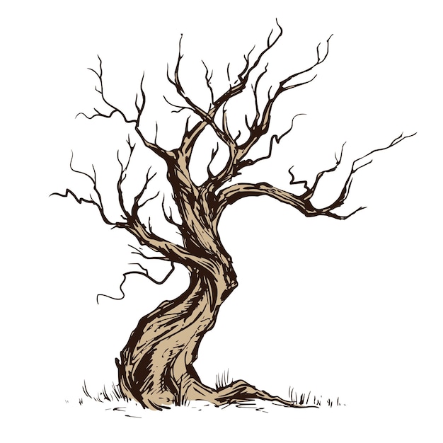 Handgetekende illustratie van oude kromme boom Droog hout tondel Inktschets bladverliezende eikenboom