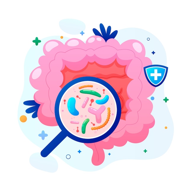Handgetekende illustratie van probiotica en prebiotica