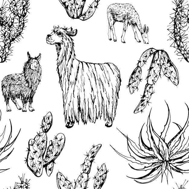 Handgetekende inkt vector illustratie natuur woestijnplant sappige cactus aloë agave lama alpaca wol dieren naadloos patroon geïsoleerd op witte achtergrond ontwerp reis vakantie brochure afdruk