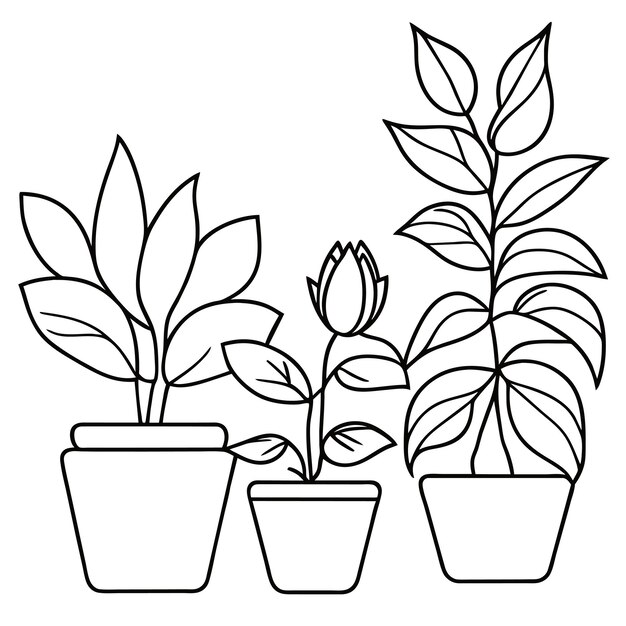 Vector handgetekende kamerplantencollectie of verzameling prachtige kamerplanten in potten