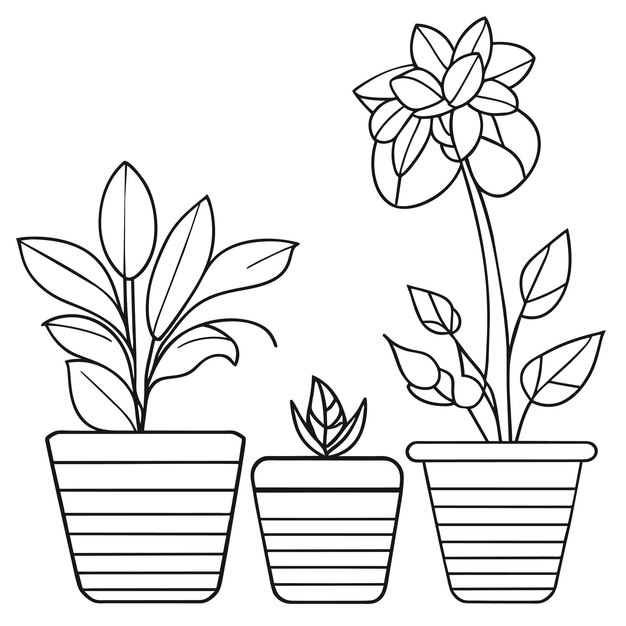 Vector handgetekende kamerplantencollectie of verzameling prachtige kamerplanten in potten