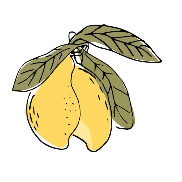 Handgetekende mango's in een schetsillustratie