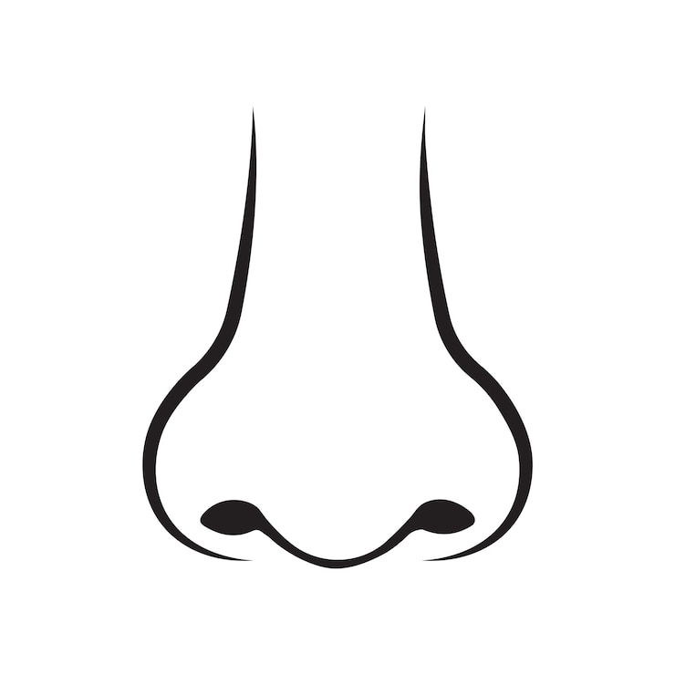 Vector handgetekende neuslijnkunst geïsoleerde vectorillustratie