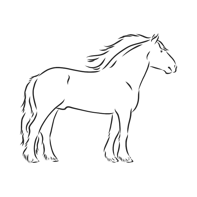 Handgetekende paard op een witte achtergrond zware paard schets vectorillustratie