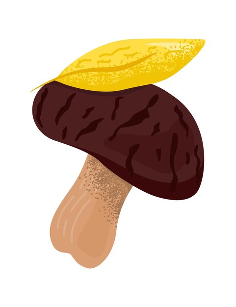 Handgetekende paddenstoel met bruine hoed en crèmekleurige stengel wilde bosschimmel natuurlijke eetbare bolete herfst