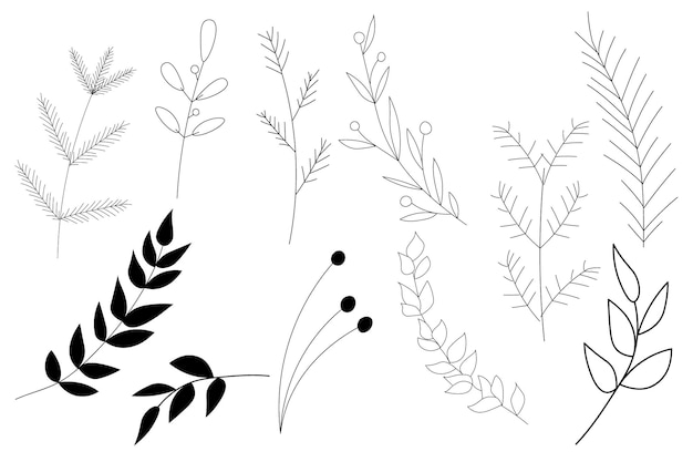 handgetekende planten - bladeren en takken. Zwart en wit. Verzameling van botanische illustratie