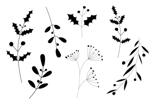 handgetekende planten - bladeren en takken. Zwart en wit. Verzameling van botanische illustratie.