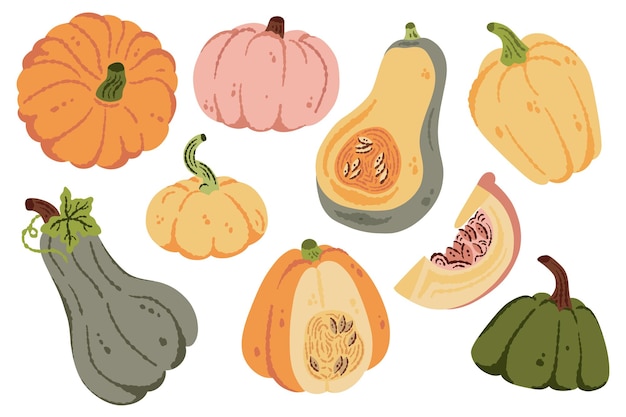 Handgetekende pompoenen halloween squash herfst oogst vectorillustratie Pompoenen en squash