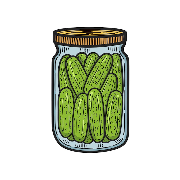 Handgetekende pot ingeblikte komkommers. Kleurrijke schets. vector illustratie