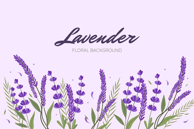 Handgetekende prachtige lavendelplanten