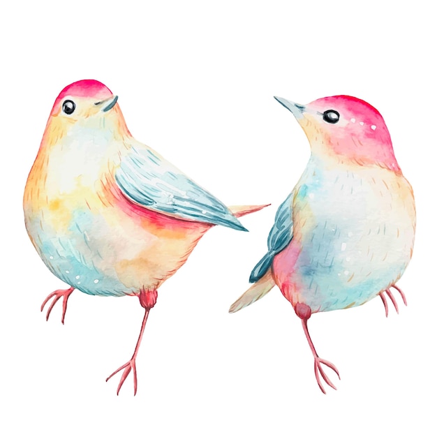 Handgetekende schattige cartoon vogels aquarel