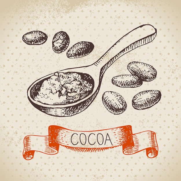 Vector handgetekende schets cacao chocolade product achtergrond vintage vector illustratie van natuurlijke gezonde