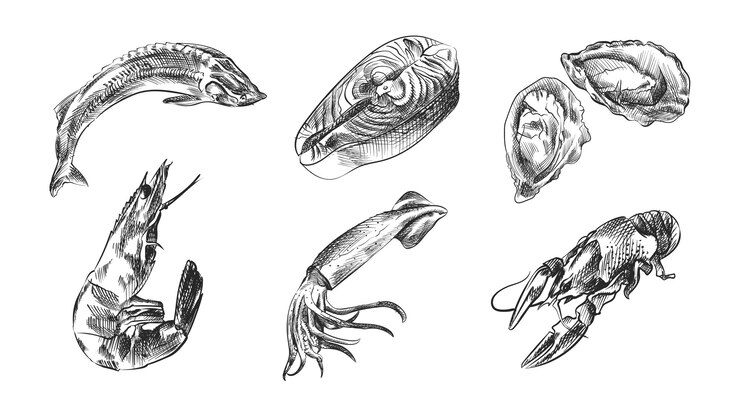 Handgetekende schets set van zeevruchten. Set bevat krabben, garnalen, kreeft, rivierkreeft, krill, kreeft of langoest, mosselen, oesters, sint-jakobsschelpen