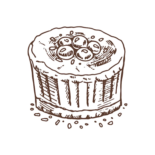 Handgetekende schets van heerlijke cake met bosbessen