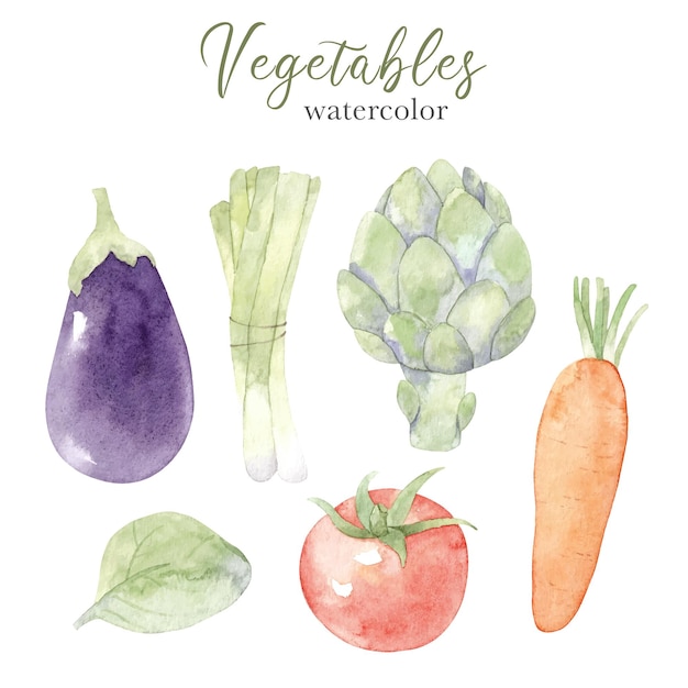 Vector handgetekende set aquarelgroenten