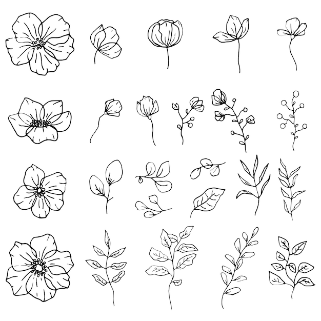 Handgetekende set van geïsoleerde bloemenelementen Bloemen grafisch ontwerp bladeren en bloemen