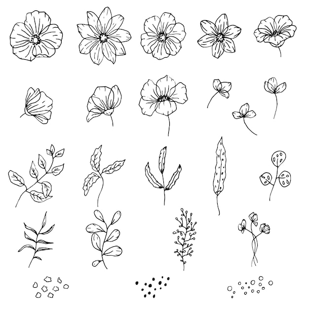 Vector handgetekende set van geïsoleerde bloemenelementen bloemen grafisch ontwerp bladeren en bloemen