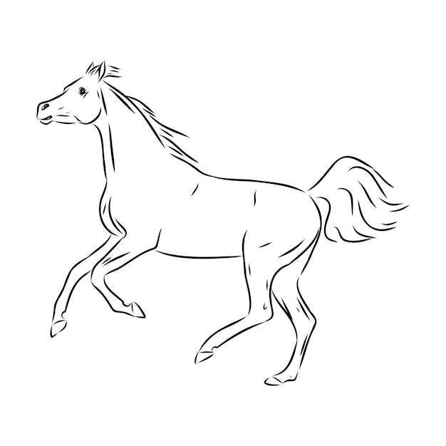Handgetekende van arabische paard schets met pen in vector-formaat eps