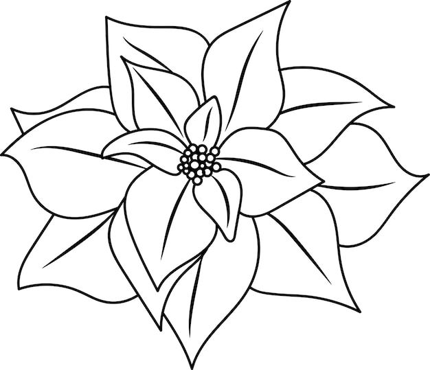 Handgetekende Vector Poinsettia Flower Line Art Illustratie voor Kerstmis, Winter, Nieuwjaar Designs