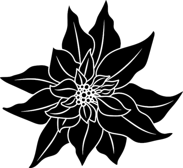 Handgetekende Vector Poinsettia Flower Line Art Illustratie voor Kerstmis, Winter, Nieuwjaar Designs