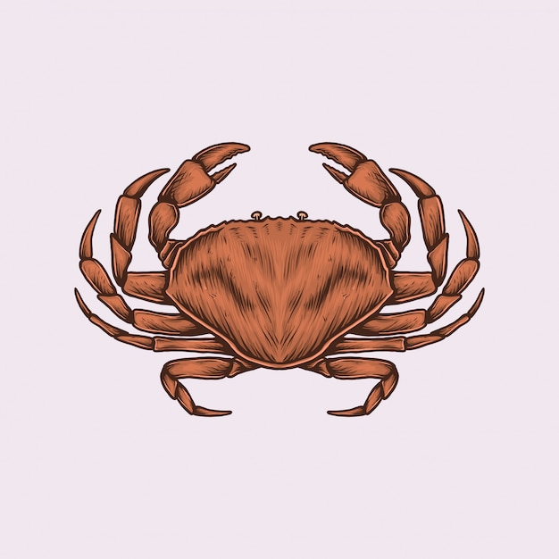 Vector handgetekende vintage krab