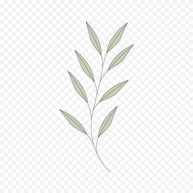 Handgetekende voorjaarsbloemen illustratie bloemenillustratie
