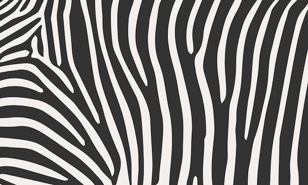 Handgetekende zebraprint patroon achtergrond