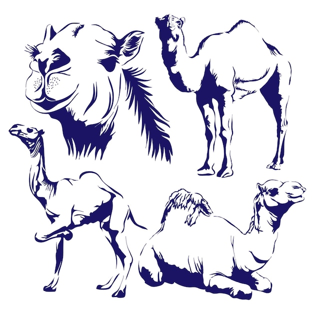 Vector handmade camel vector set in silhouette style with many pose