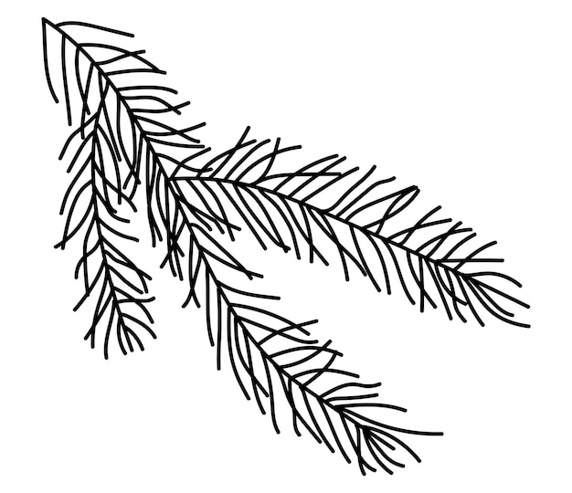 Vector handmade spruce branch doodles made from a coniferous tree branch christmas